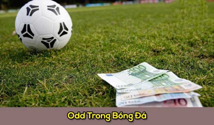 cách đọc tỷ lệ odds